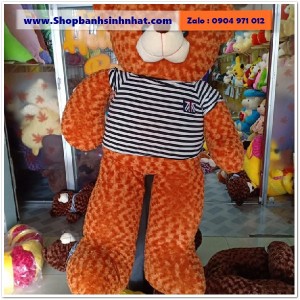 Gấu Bông Teddy Hàn Quốc - GAU09